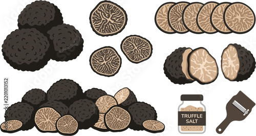 Gourmet Black Truffle Mushroom Flat Vector Infographic Set with Slices Half Cuts Pile Heap Truffle Salt Jar and Slicer Mandoline