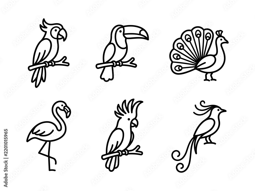 Obraz premium Minimalist Tropical Bird Line Art Icon Set and Vector Illustrations