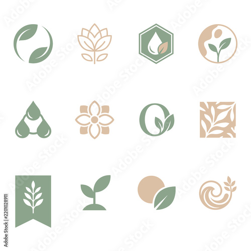 Collection of minimal natural and organic branding elements for skincare and beauty product identity