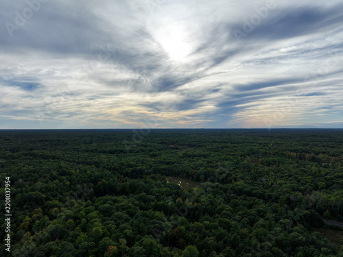 фотографія An elevated wide-angle view looks across a vast, dense green forest canopy exten