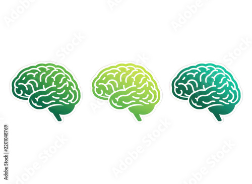 Three stylized human brain icons with green gradient colors and white outlines, arranged horizontally on a white background, for science isolated on a transparent background