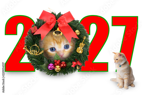 2027 number icon with little cute cat.
