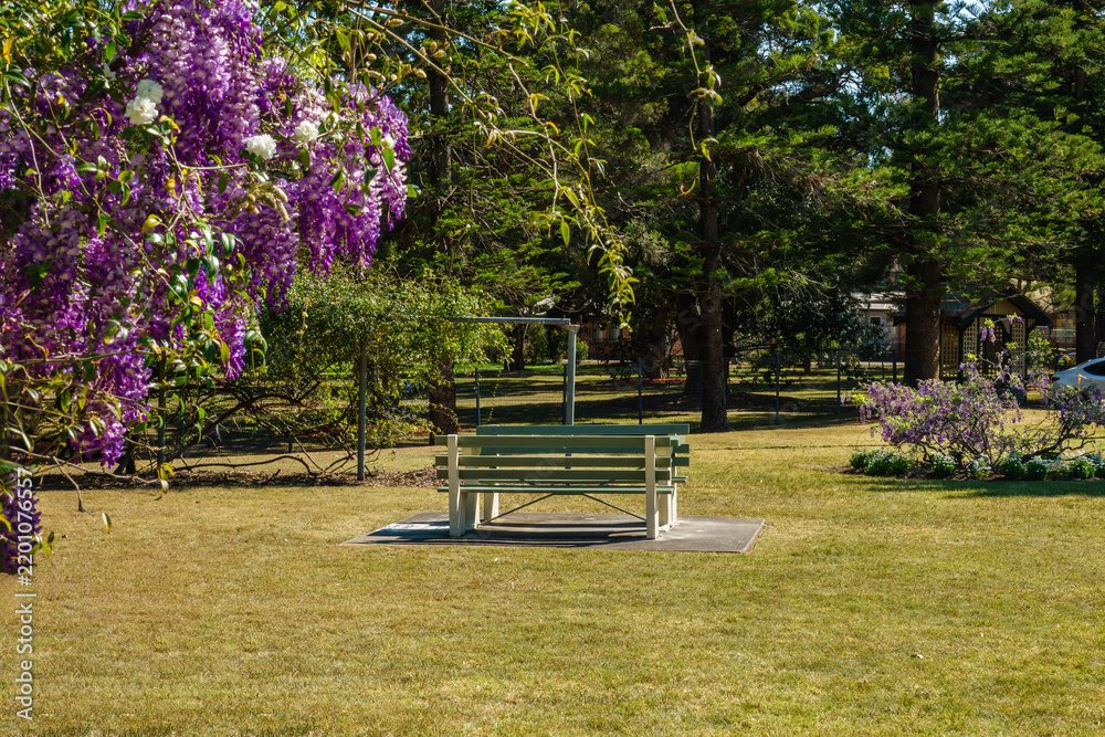 Fototapeta premium Wistaria Gardens at Parramatta Park during the wisteria flowering season in Sydney, New South Wales, Australia, September 18, 2026