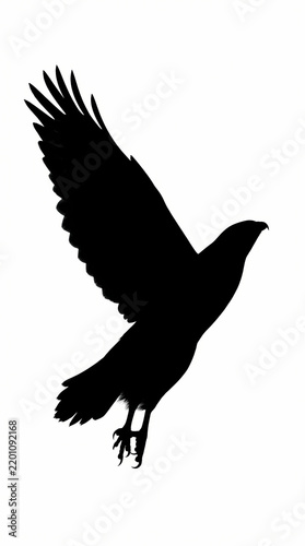 A striking black silhouette of a bird in flight against a plain white background.