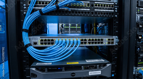 Bild auf Leinwand Closeup of a network server rack with an arista switch, blue ethernet cables, an