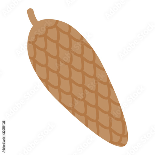 Vector illustration of a pine cone