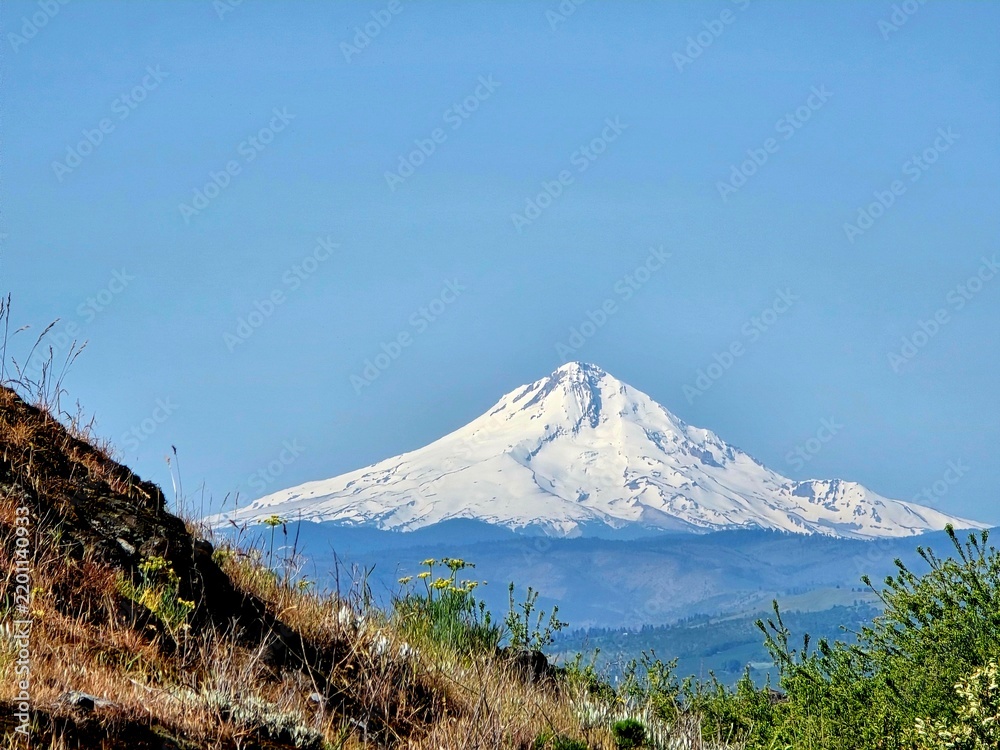 Fototapeta premium mount fuji in japan