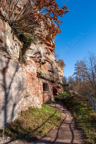 Ruines d'un château médiéval en grès intégrées dans une paroi rocheuse, dans un paysage forestier des Vosges. (château du Falkenstein, France)
