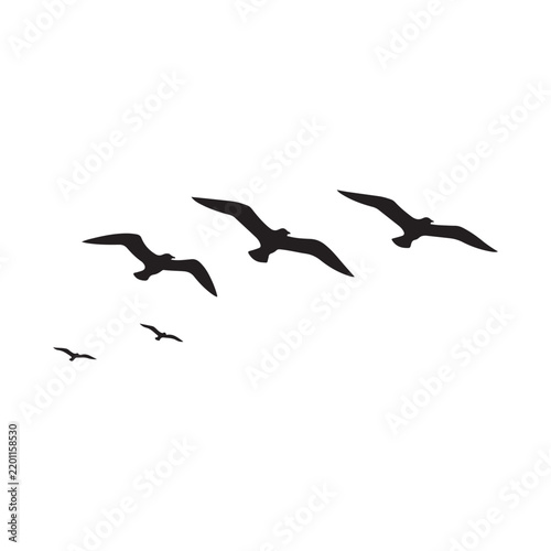 Flying gulls silhouette vector flat illustration design.Adobe Illustrator Artwork