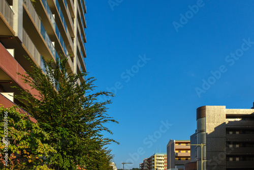 日本の住宅地