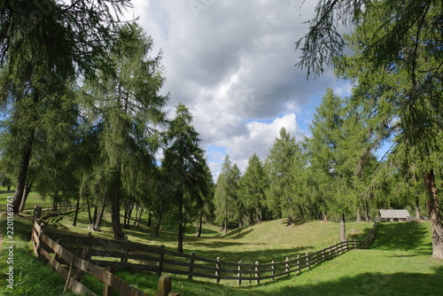 landscape with fence,salten ,jenesien,