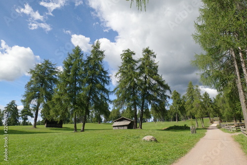 Der Salten