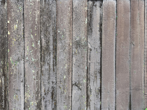 Weathered vertical wooden planks with peeling gray paint and green undercoat, showing rough grain, knots, cracks, and aged texture under soft diffused daylight for rustic wall background
