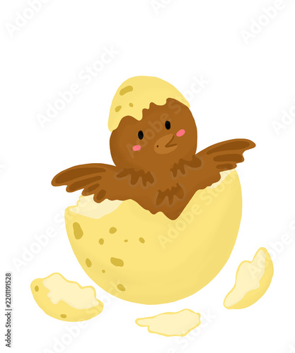 chicken and egg