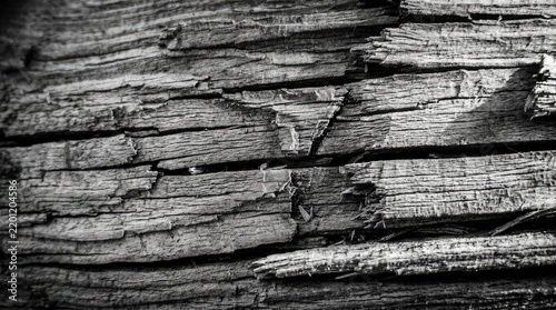 Close-up of textured weathered wood in black and white