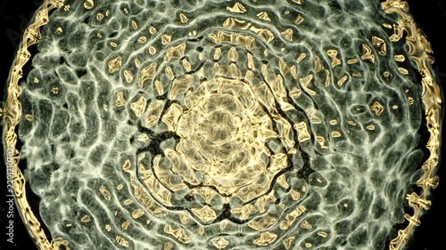 Cymatics wave patterns created by sound frequencies in liquid, forming complex symmetrical golden structures and concentric ripples on a dark background.