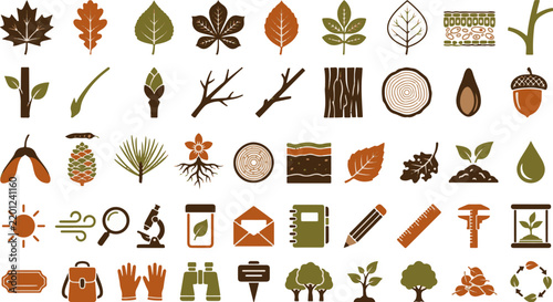 Autumn Forest Botany Nature Study Tree Leaves Plants Science Flat Vector Icon Set Isolated on White Background