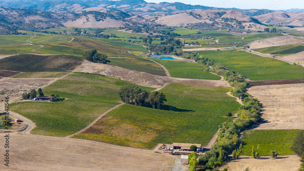 Obraz premium Napa County Vineyards And Agricultural Fields In California