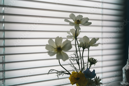 Bouquet of Colorful Flowers on a Window with Green Leaves, Blooming Floral Arrangement and Natural Spring Beauty for Home Decoration and Fresh Botanical Lifestyle Imagery