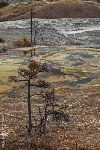 Layered, algae-and-bacteria-colored upper pools of the dry (at the photo moment) Minerva Terrace in Mammoth Hot Springs, . Yellowstone NP-WY-USA-019