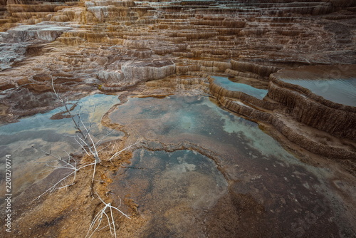 Close-up image of the Mound and Jupiter Terraces, Mammoth Hot Springs= tiered, algae-and-bacteria-colored travertine pools. Yellowstone NP-WY-USA-020