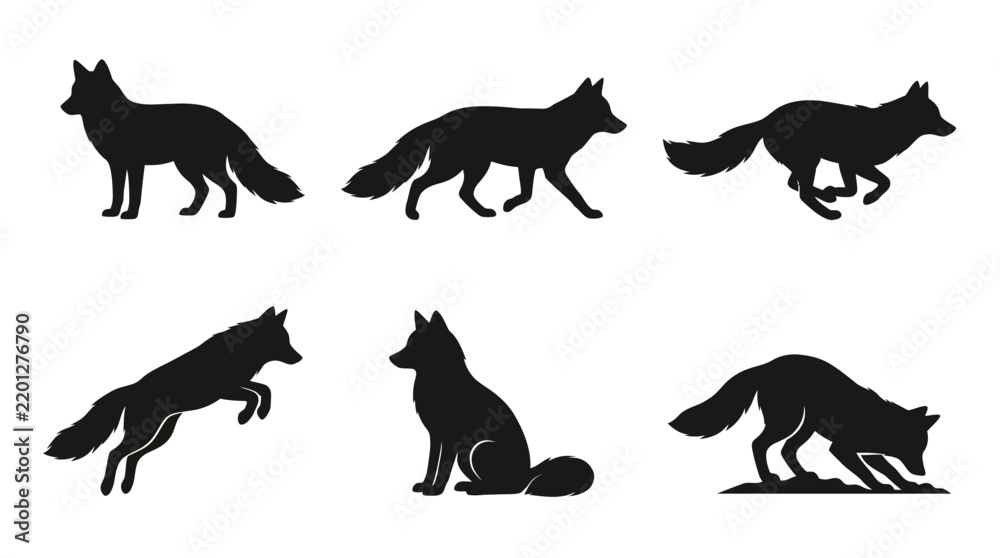 Obraz premium A vector of foxes in varied poses showing animal action and behavior