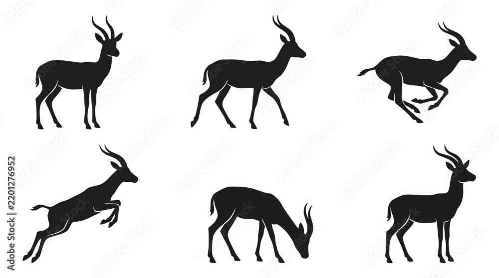 Fototapeta premium A detailed vector of gazelles showcasing various postures in natural movement