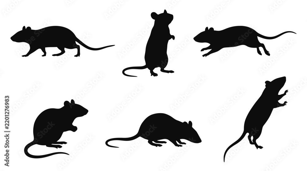 Obraz premium Vector of diverse rats in motion showing animal silhouettes on white background