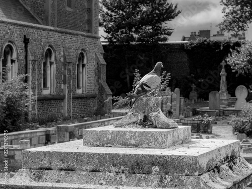 Foto Black and white photo of a pigeon perched on a weathered broken stone monument i