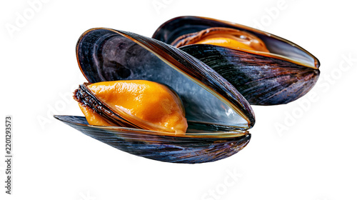 Fotografie Fresh raw open blue mussels with orange meat and dark shiny shells