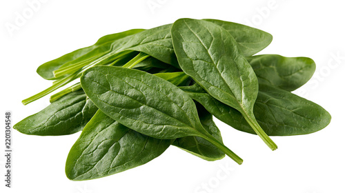 Fresh raw green baby spinach leaves piled together