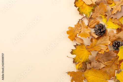 Autumn leaves with pumpkins on color background, top view