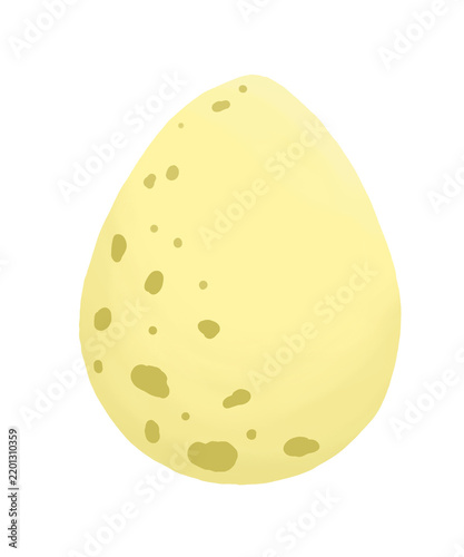 Bird egg 
