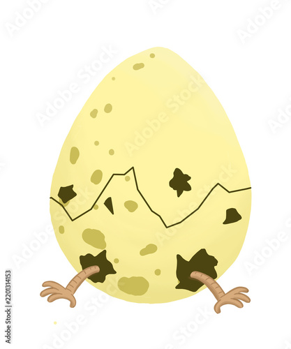 chicken and egg
