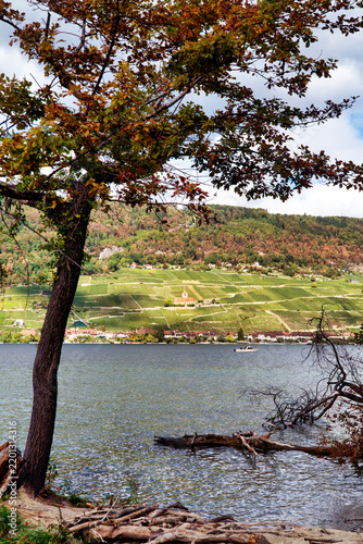 Schweiz, Kanton Bern, Bielersee, Bern, Erlach, St. Petersinsel (französisch: Île Saint-Pierre), Seeland
