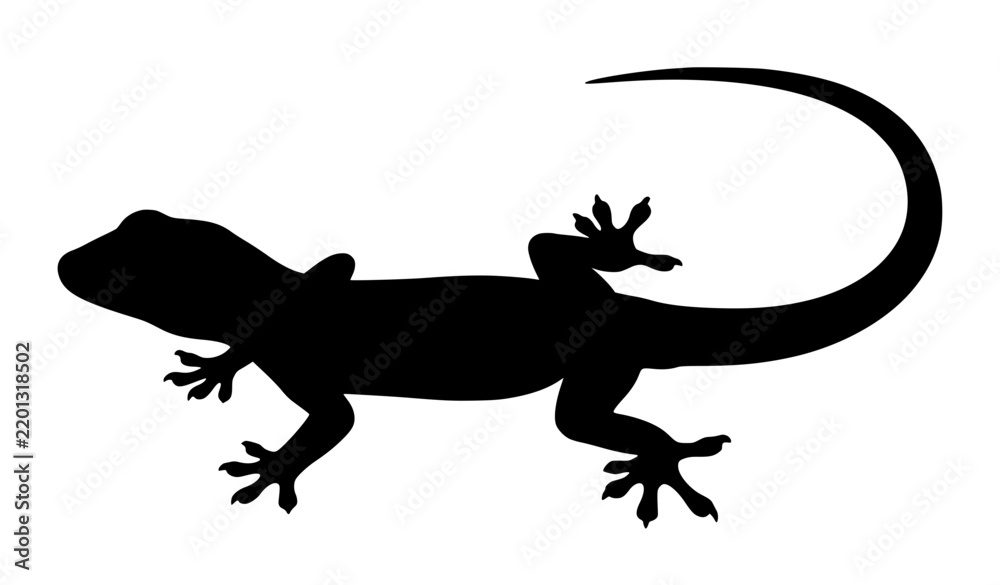 Obraz premium Gecko Lizard Crawling Silhouette Vector Illustration