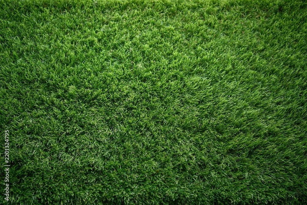 Fototapeta premium The Grass Close Up Lush Green Lawn Texture with Vibrant Natural Detail