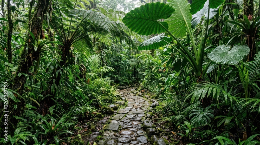 Naklejka premium Clean Lush Tropical Pathway Through Dense Verdant Jungle with Cobblestone Trail and Giant Leaves