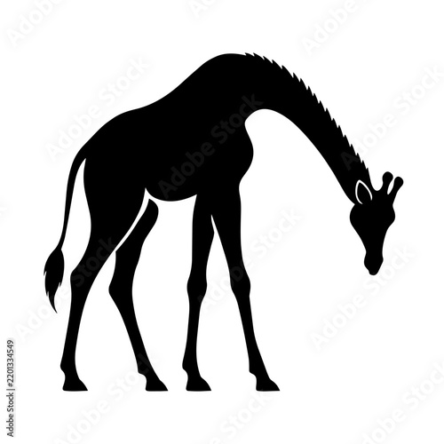 Black giraffe looking down silhouette vector illustration