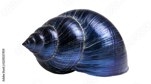 Glossy dark blue spiral snail shell with metallic texture