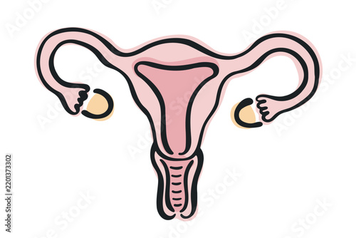 Hand Drawn Uterus Medical Illustration