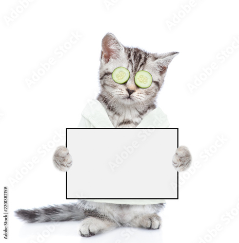 Funny kitten with slices of cucumber o it eyes wearing bathrobe  standing on hind legs and holding blank white board. Empty space for text. Isolated on white background