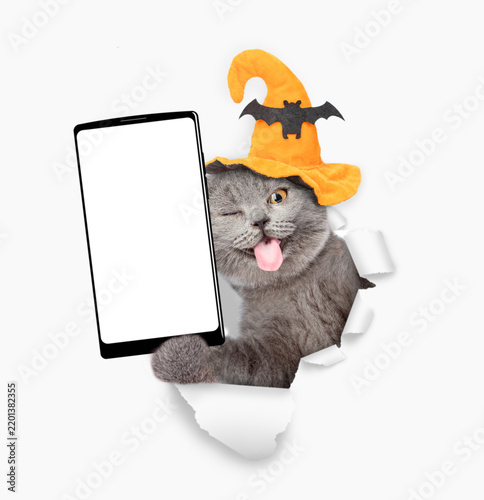 Happy winking cat with tongue out wearing hat for halloween holding big smartphone with white blank screen in it paw and looking through torn white paper hole. Empty free space for mock up
