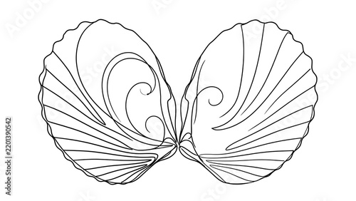 Scallop shell line art white background.