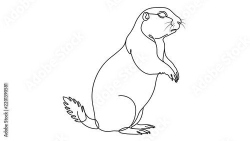 Rodent mammal white background.