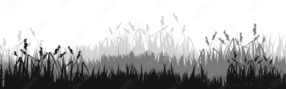 Obraz premium Meadow silhouette with grass, plants on plain. Panoramic summer lawn landscape with herbs, various weeds. Herbal border, frame element. Black horizontal banners. Vector illustration