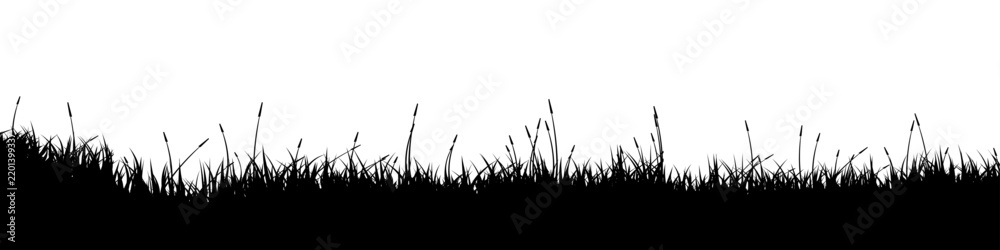 Obraz premium Meadow silhouette with grass, plants on plain. Panoramic summer lawn landscape with herbs, various weeds. Herbal border, frame element. Black horizontal banners. Vector illustration