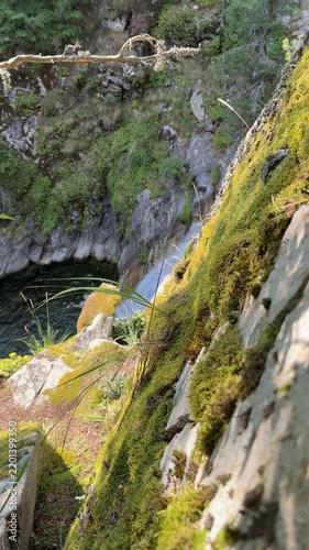 Mossy Rocky Canyon Wall Above Deep Forest Water