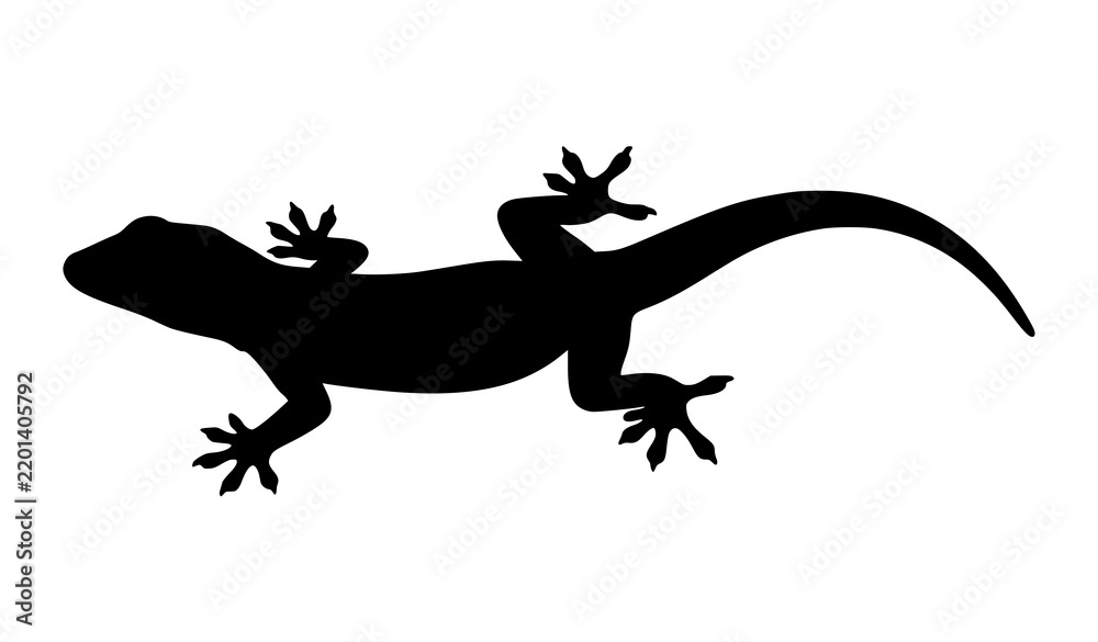 Obraz premium Closeup House Lizard Silhouette Icon Black Vector Illustration