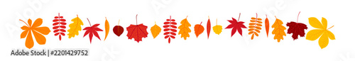 Colorful autumn leaves from different trees border illustration isolated. Vibrant fallen leaves, red, golden foliage. Decorative element, clip art for seasonal, Thanksgiving design. Hand drawn vector